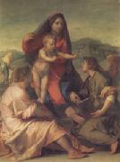 Andrea del Sarto The Madonna of the Stair (san05) France oil painting artist